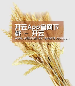 开云App官网下载 - 开云